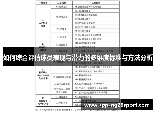 如何综合评估球员表现与潜力的多维度标准与方法分析