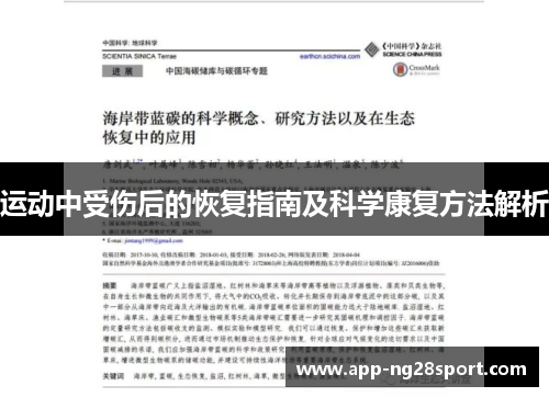 运动中受伤后的恢复指南及科学康复方法解析